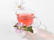 Hollyhock tea in cup — Stock Photo