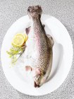 Fresh wild salmon — Stock Photo