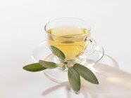 Sage tea in a cup — Stock Photo
