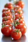 Черри помидоры на лозе — стоковое фото