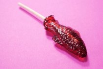 Fish-shaped lollipop, close-up — Stock Photo