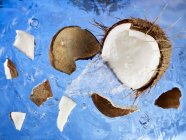 Coconut falling into water — Stock Photo