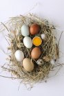 Verschiedene Arten von Eiern — Stockfoto