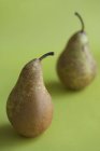 Two ripe pears — Stock Photo