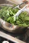 Перетворюючи шпинат в сковороду з щипцями в металеву миску — стокове фото