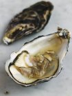 Opened oyster on marble — Stock Photo