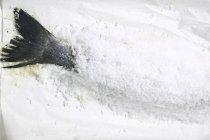 Сырой морской окунь в соленом покрытии — стоковое фото