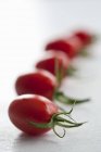 Pomodori di prugna in fila — Foto stock