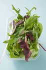 Salatblätter gemischt — Stockfoto