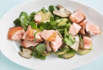 Hojas de ensalada con salmón - foto de stock