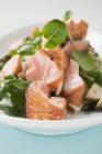 Foglie di insalata con salmone — Foto stock