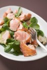 Hojas de ensalada con salmón - foto de stock
