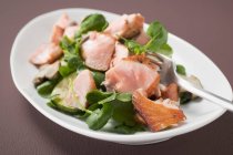 Листя салату з лососем — стокове фото