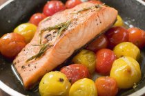 Fried salmon and cherry tomatoes — Stock Photo