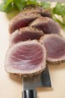 Філе тунця, приправлене насінням — стокове фото