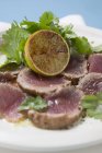 Seared seasoned tuna fillet — Stock Photo