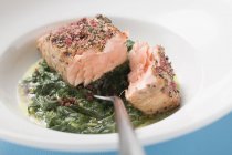 Filetto di salmone piccante sugli spinaci — Foto stock