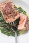 Spicy salmon fillet on spinach — Stock Photo