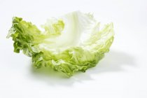 Лист зеленого салату — стокове фото