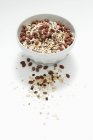 Chocolate muesli in bowl — Stock Photo