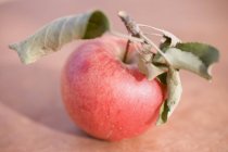 Manzana roja con tallo - foto de stock