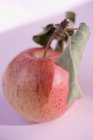 Roter Apfel mit Stiel — Stockfoto