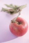 Roter Apfel mit Stiel — Stockfoto