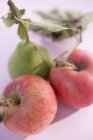 Pêra e duas maçãs com talos — Fotografia de Stock
