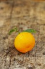Декоративний апельсин з листям — стокове фото
