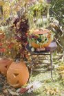 Прикраса саду з гарбузами — стокове фото