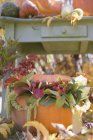 Calabaza decorada con flores - foto de stock