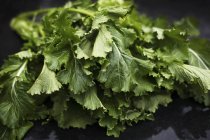 Broccoli verdi rabbie — Foto stock