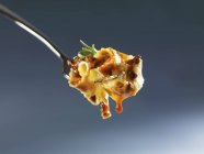 Pappardelle pasta с рагу из кабана — стоковое фото