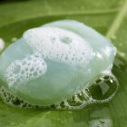 Closeup view of seaweed green soap on wet leaf — Stock Photo