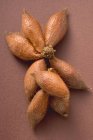 Салах фрукти на коричневий — стокове фото