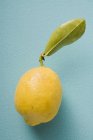 Fresh Lemon with leaf — Stock Photo