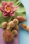 Früchte und Seerose — Stockfoto