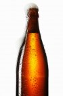Cerveza espumosa de la botella - foto de stock