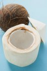 Polpa di cocco fresco — Foto stock