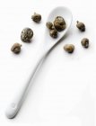 Pickled Capers with spoon — Stock Photo