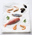 Red mullet on paper — Stock Photo