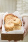 Hands holding palmiers — Stock Photo