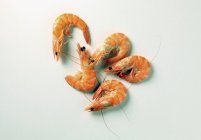 Five cooked prawns — Stock Photo