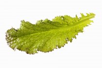 A red mustard leaf on white surface — Stock Photo