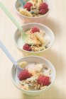 Fruit muesli in bowls — Stock Photo
