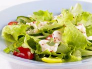 Salad with cocktail sauce — Stock Photo