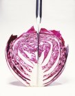 Половина головы фиолетовой капусты — стоковое фото