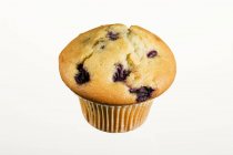 Blueberry muffin in paper case — Stock Photo