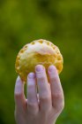 Cropped view of hand holding meat pie — Stock Photo
