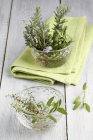 Fresh rosemary with thyme and sage — Stock Photo